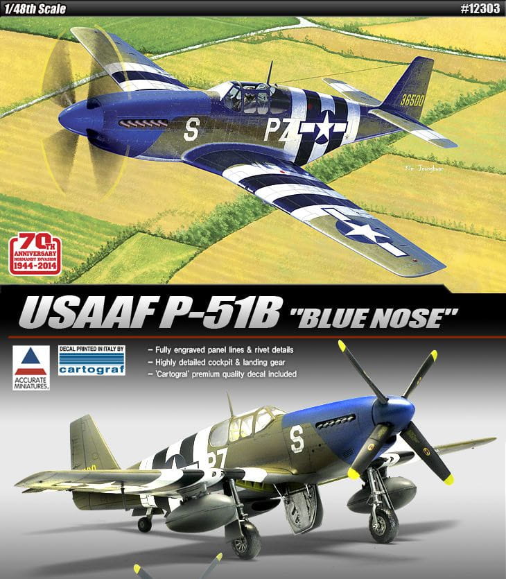 12303_p-51b - Kopia.jpg
