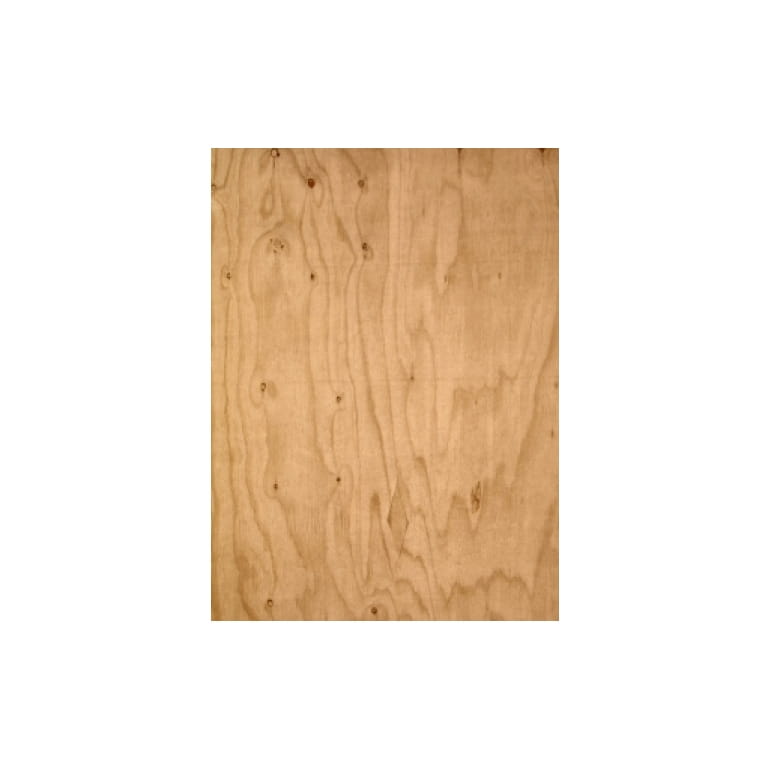 pine-tree-base-white-148-548004.jpg