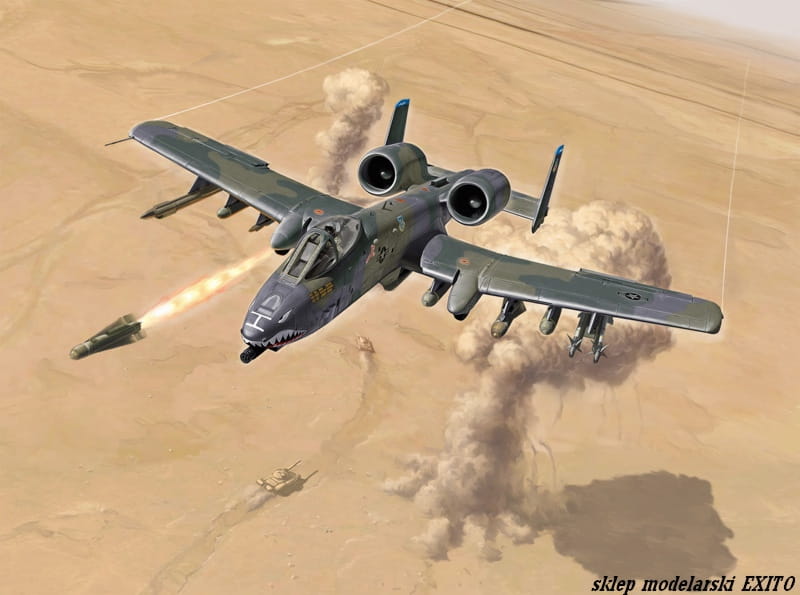 1376_A-10_Thunderbolt2LR.jpg